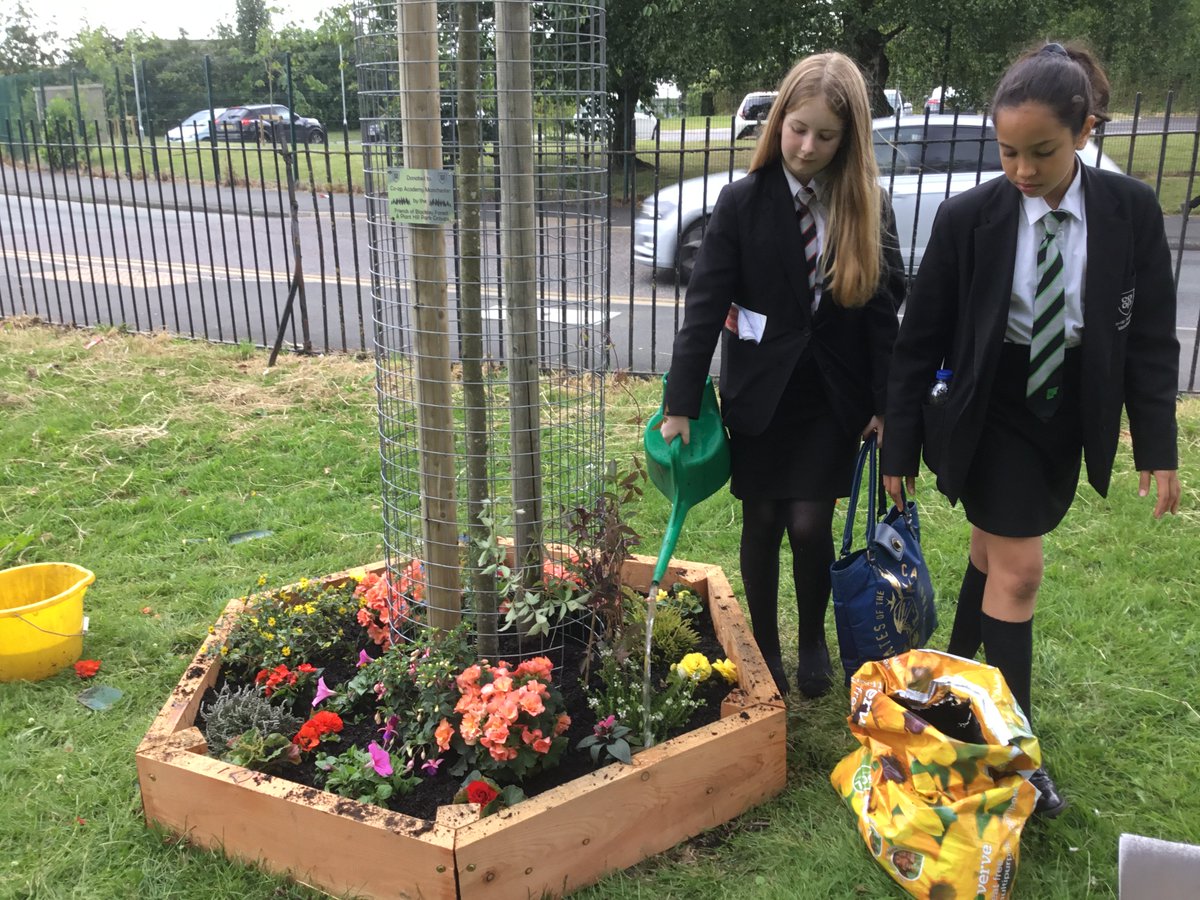 Co-op Academy Manchester (@coopmanchester) on Twitter photo <a href="/KeepBritainTidy/">Keep Britain Tidy</a> Our Eco-Warriors helped <a href="/FOPlanthillpark/">friends of plant hill park</a> with some planting after school recently in our neighbourhood park. #LoveParks <a href="/KeepBritainTidy/">Keep Britain Tidy</a> Our Eco-Warriors helped <a href="/FOPlanthillpark/">friends of plant hill park</a> with some planting after school recently in our neighbourhood park. #LoveParks