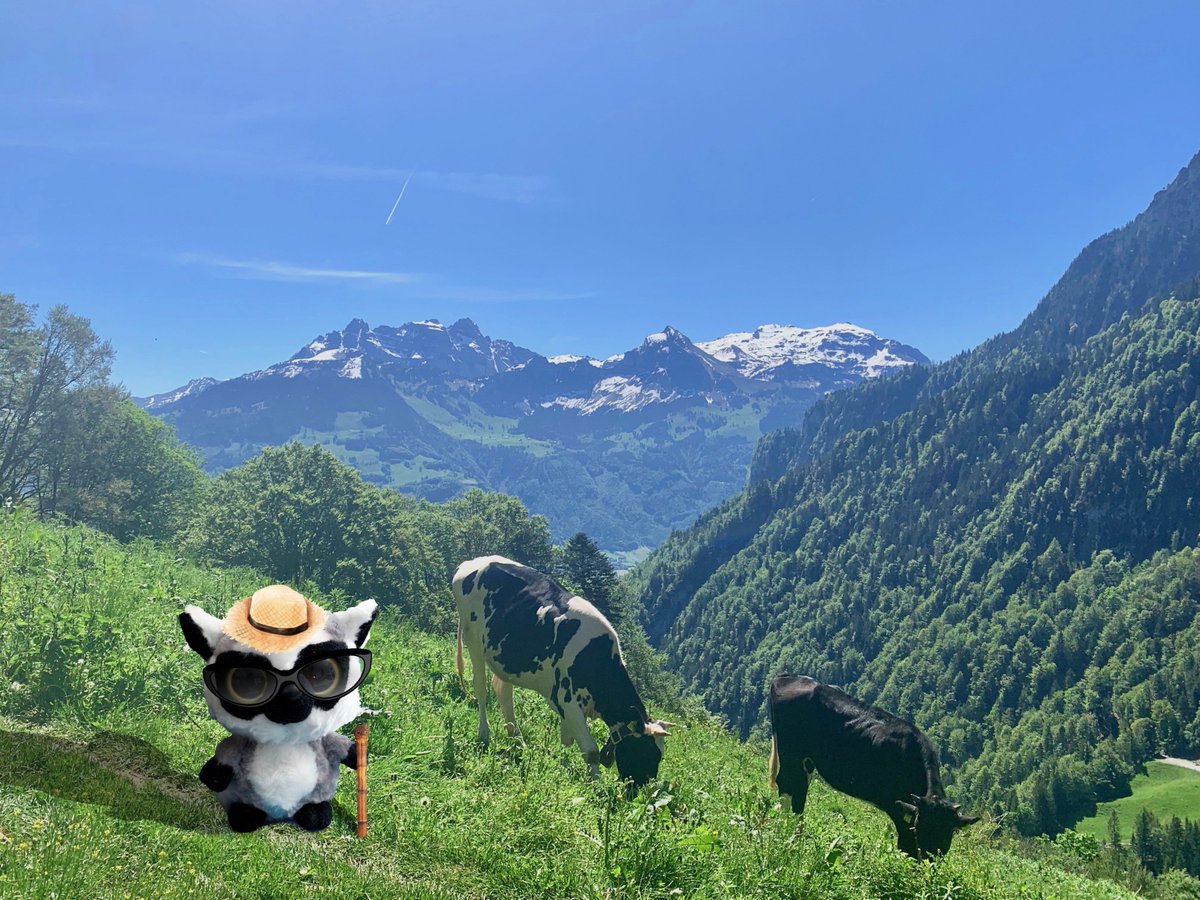 imito_ag's tweet photo. 10 trade fairs and congresses, 7 speeches, 4 public live demos and around 6kg of Swiss chocolate distributed during the past #imitorocks #digitalhealth tour through Europe. Happy #imitastic summer and don't forget to vote for us in the #top100 https://t.co/kxXDAWX9gN https://t.co/r6IyDjTXDE
