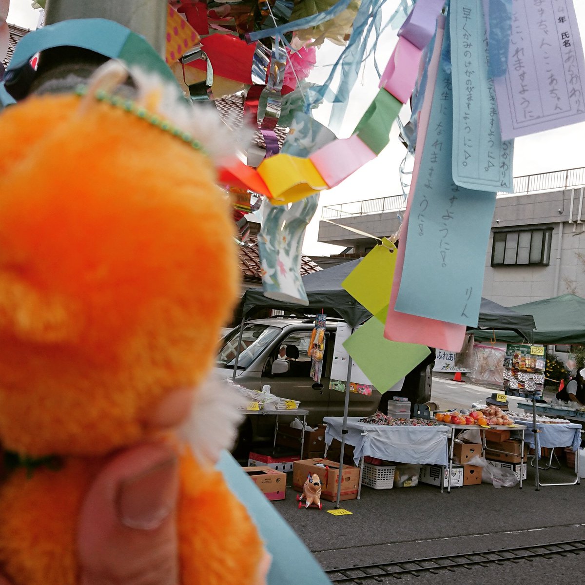 おさるのポッケ