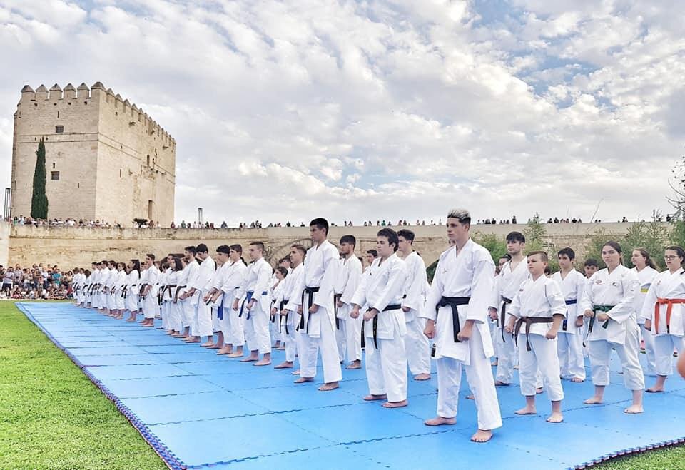 300 karatekas a la orilla del Guadalquivir 💚. 
por César Martínez Blanes, Delegación Cordobesa de Karate
#RioMundiFest

riomundi.com/w/riomundi/339…