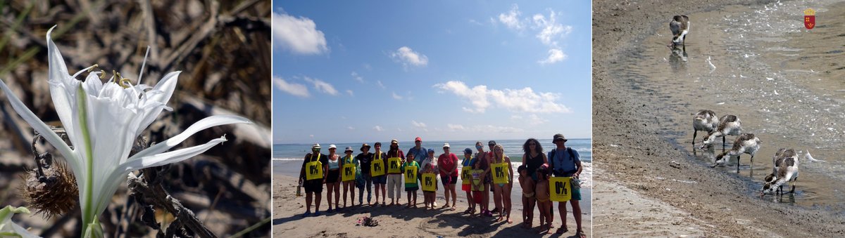 Hoy 26 personas han participado en la #visitaguiada Vacaciones en las Salinas 😀 Han conocido los #valoresnaturales #ObservaciónAves #CuriosidadesFlora #PlayaNatural  y las claves para evitar la llegada de #plástico al mar 🌊 #ceroplásticos 
El plástico, al final, #telocomes