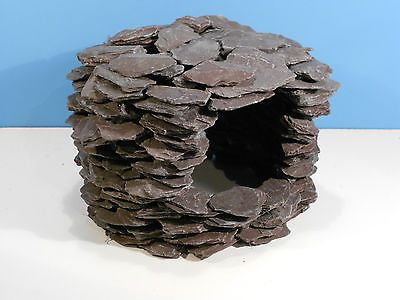 Nairobipethouse's tweet photo. #TankDecor
A natural designed aquarium starts with a natural-looking substrate as its foundation. Followed by live plants and accented with natural material like driftwood, rocks, or coral.
#aquascping #naturaldecor #driftwood #rock #coral https://t.co/cmUIN16cMS