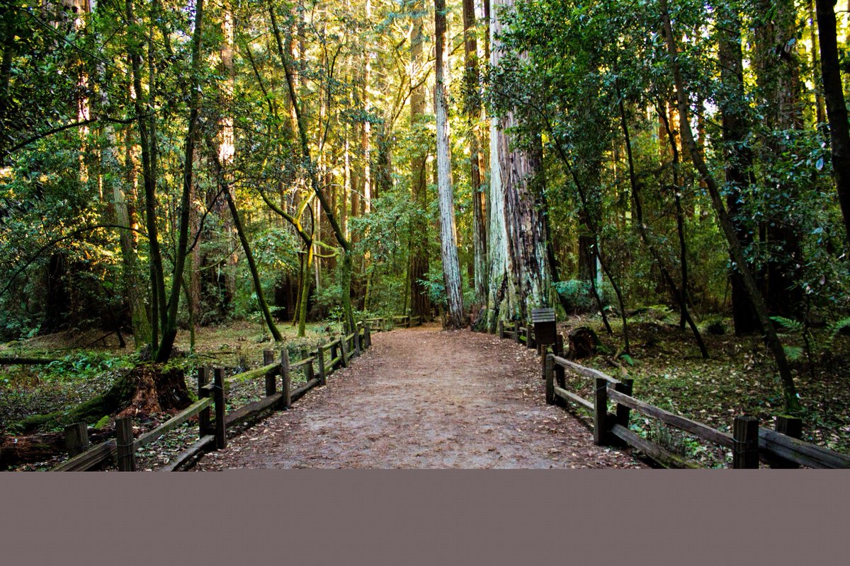 JobTourisme's tweet image. [BONNE NOUVELLE]
🔵Les emplois du tourisme ont le vent en poupe en Auvergne-Rhône Alpes !
Dès septembre consultez nos offres d’emploi sur job-tourisme.fr.
#emploi #tourisme #AuvergneRhôneAlpes
job-tourisme.fr/blog/2019/07/0…