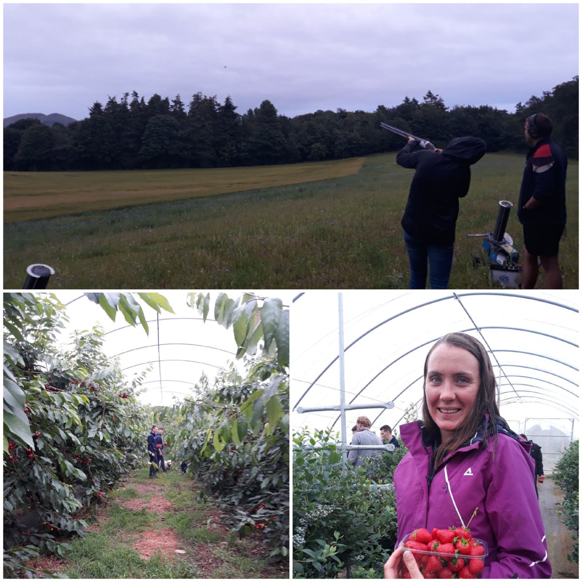 Last night saw a great turnout of members head to Blacketyside Farm for clay pigeon shooting &amp; a tour of the farm. Huge thanks to the Todd Family for hosting us &amp; Stewart for organising and giving us a tour while letting us fill punnets with berries 🍓🍒
