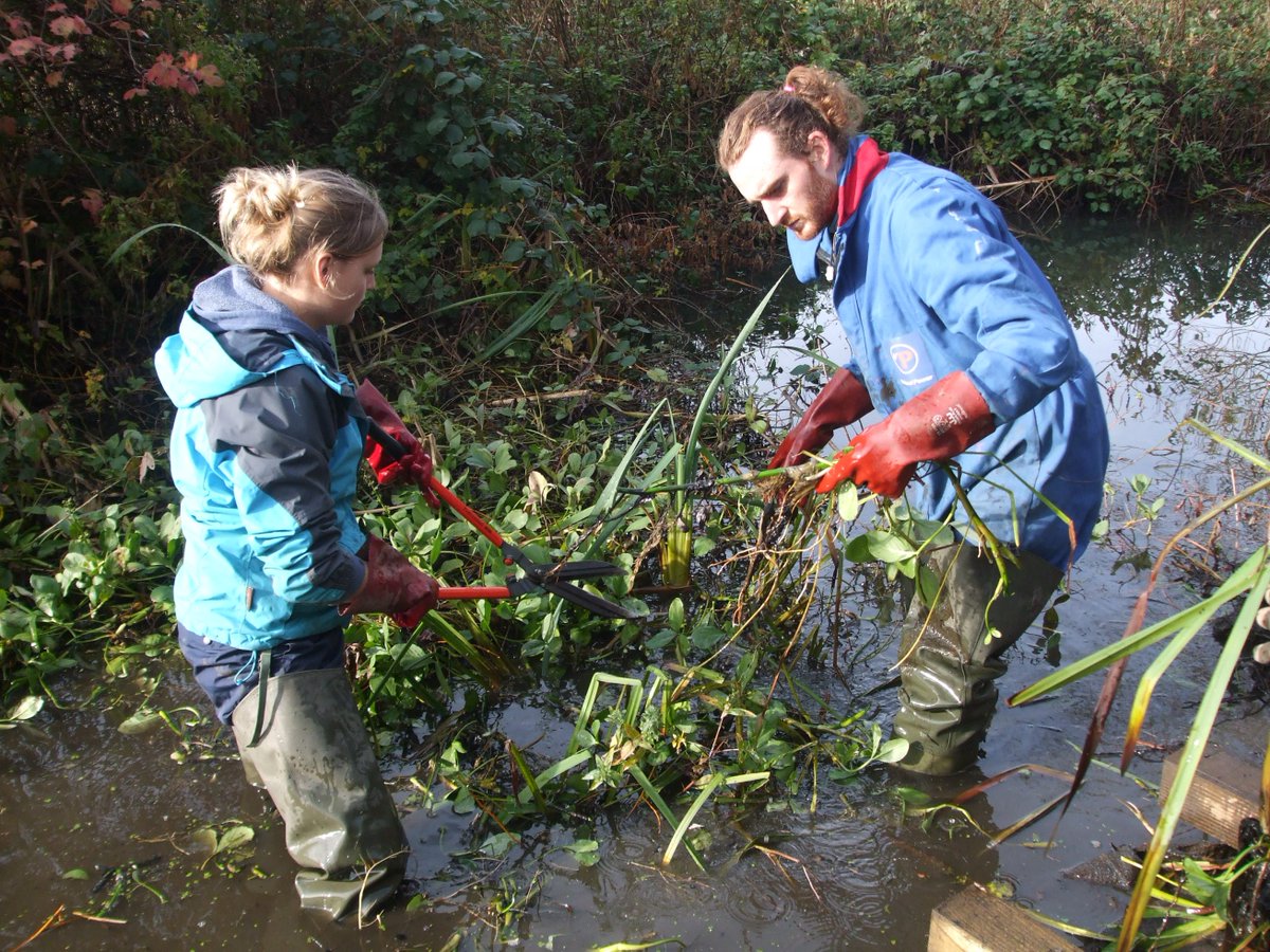 Ed Carlisle (@edleeds) on Twitter photo Love the outdoors? The fantastic <a href="/SkeltonGrange/">TCV Skelton Grange</a> eco-centre in #Stourton (south #Leeds) are recruiting 16-25 year old trainees, for 6 month placements. Package worth £1,500; travel expenses covered. Apply by 10am Monday (22 July): mailchi.mp/441c59b3ebfa/n…. <a href="/SouthLeedsLife/">South Leeds Life</a> Love the outdoors? The fantastic <a href="/SkeltonGrange/">TCV Skelton Grange</a> eco-centre in #Stourton (south #Leeds) are recruiting 16-25 year old trainees, for 6 month placements. Package worth £1,500; travel expenses covered. Apply by 10am Monday (22 July): mailchi.mp/441c59b3ebfa/n…. <a href="/SouthLeedsLife/">South Leeds Life</a>