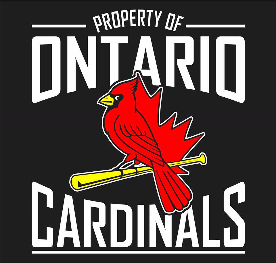 TriplePlayAcdmy's tweet photo. Triple Play Academy is proud to be helping the Ontario Cardinals with their 2020 tryouts. 

Registration and Tryout information can be found at: https://t.co/vlBHxSo8fL

#elite #baseball #Pickering #Ajax #Whitby #Oshawa #Toronto #Training #Tryouts https://t.co/ZA7cyViG3E
