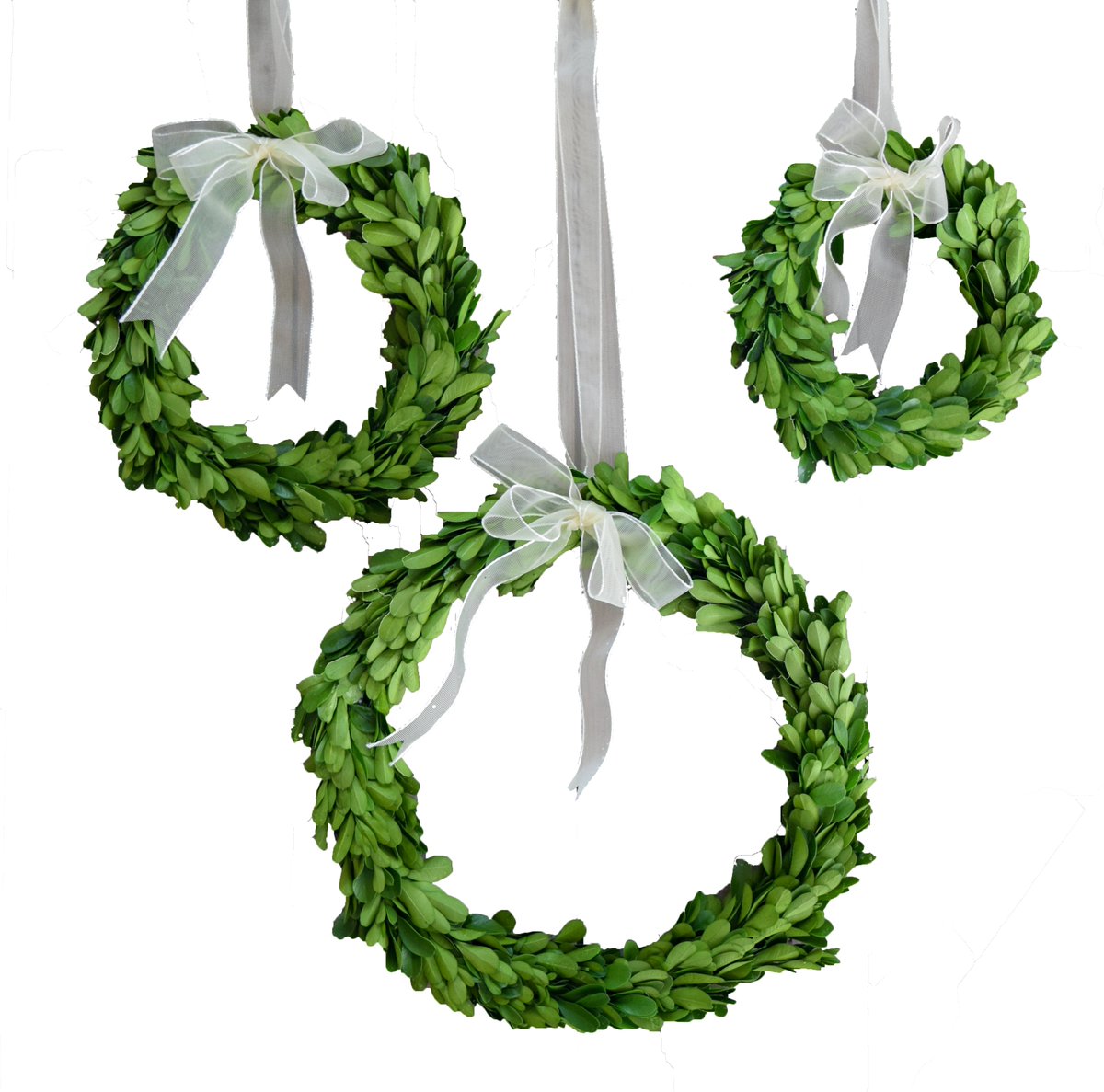 This 3-piece preserved #boxwood wreaths are perfect for backs of chairs, on the end of an aisle at #weddings or just hanging around your house. The possibilities are endless with this dainty, versatile set.
homedecorativeaccents.com/collections/pr…