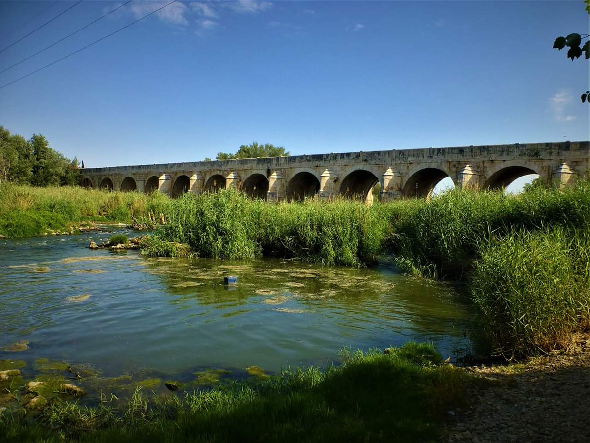 rioTajoVIVO's tweet photo. La cloaca del río Jarama, además de traer agua de pura mierda que mata al Tajo, también trae envases, botes y neveras en lugar de bañistas
Éste es el río que deja la Com de Madrid, buena parte de culpa la tiene el Canal de Isabel II, empresa pública con ganancias millonarias https://t.co/5tFmt4VEWD