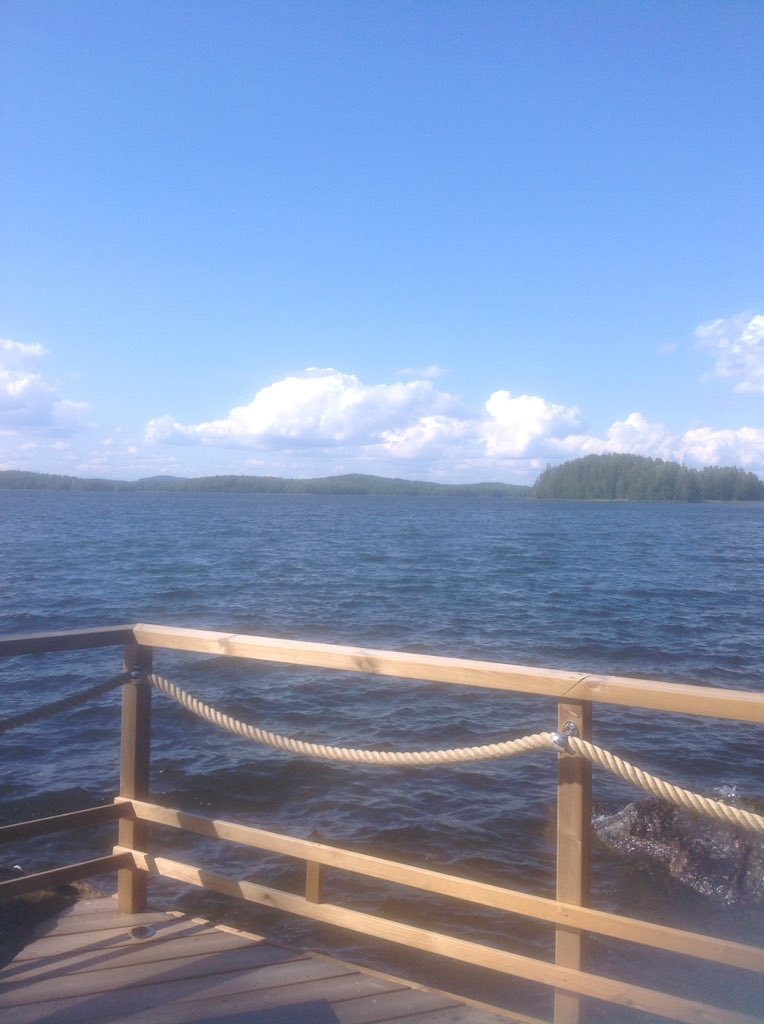 VPanschin's tweet photo. #kirjoitusmaisema #sotatieteet #Sysmä #Päijänne #Pyhätselkä
#Rapula https://t.co/9GmwF46gB1