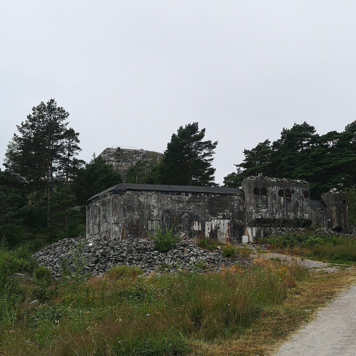 Did my 10000 steps, a good walk, a good day. #walkoftheday