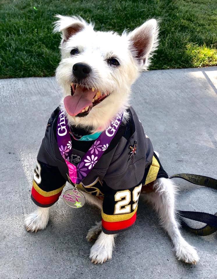 gotrlv's tweet photo. Thankful Thursday! THANK YOU to special guest @BarkAndreFurry for coming to our Spring 5K and leading our runners during the Parade of Teams! Bark brought so many smiles to all of our runners and families!
#barkandrefurry #spring5K #gotr #gotrlv
πΈ: @BarkAndreFurry https://t.co/eNHJvkQkiu