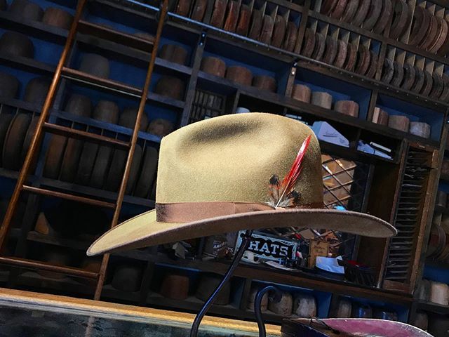 tattonbaird's tweet photo. Morning light
.
.
#tattonbaird #semperbiretum #custommade #handmadeinutah https://t.co/yik5LMYB1l https://t.co/4qbdCEC9Fh