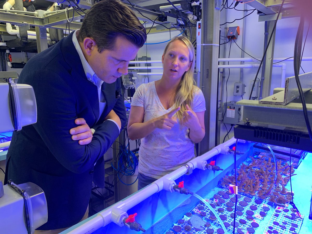 MoteMarineLab's tweet photo. Thanks to @senpizzo for stopping by the Lab today to learn more about our research and how we’re helping Florida’s oceans. Support from our legislators is vital to our research, such as Dr. Erinn Muller’s work with coral disease! 👩‍🔬

#motemarinelab https://t.co/ILVP41zsjP