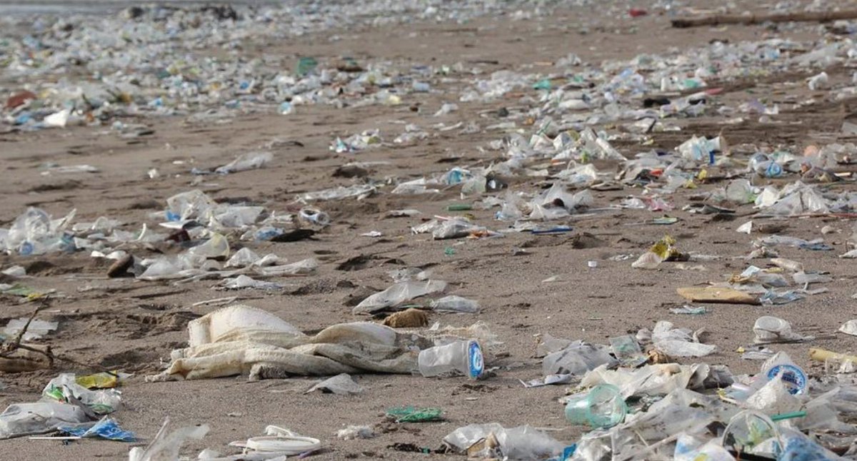 Plastic Pollutes tweet media