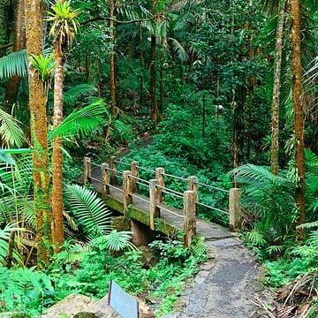 scbholidays's tweet photo. Puerto Rico is incredibly vibrant, with outstanding beaches, lush rainforest, gloriously colourful towns and lots of opportunity for adventures.
Check out these Puerto Rican condos -https://t.co/f08dIodhaG
#puertorico #caribbean #rainforest #beach #tubing #zipwire #adventure https://t.co/NtSIVt7bhk