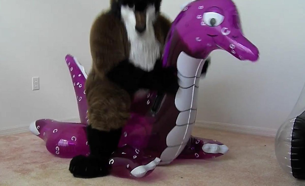 PooltoyFoxPop's tweet photo. FUCK, I cant deny how HAWT it is to rid e a toy until it hisssssessssss under you and take out all of its air 💛💛💛💛
#inflatable #poppersareawesome https://t.co/aeAN2D7lya