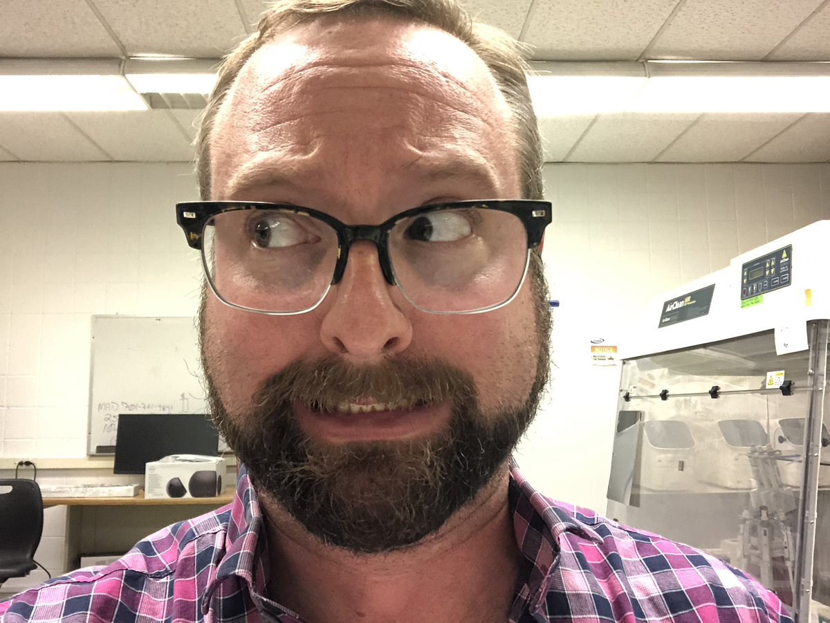 Mark_A_Davis79's tweet photo. @ERLarsonLab if you’ve felt a disturbance in the force, it’s because I’m working on crayfish right now. Procedural question: it’s Thursday. Should I NOT #GetCray? https://t.co/tgxqYf4awP