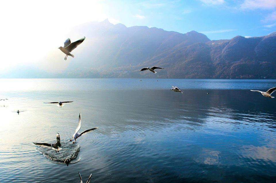 transporter0k's tweet photo. #MontBlanc #FallSummer #CultureTrav https://t.co/yc1q7kdNbi