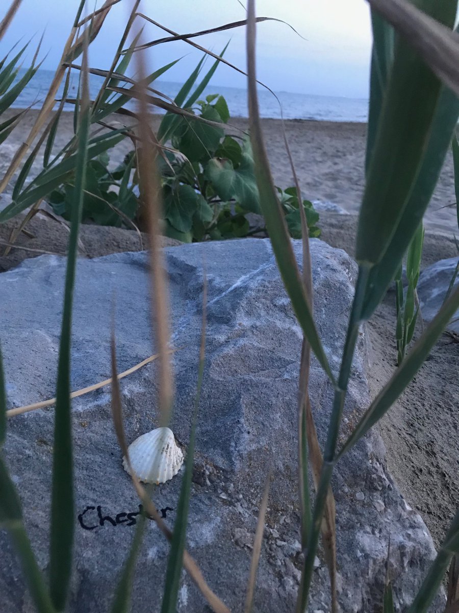 somewhereibelo4's tweet photo. #chesterweek he is always with me ❤️💔#MakeChesterProud https://t.co/3TXjeKH7jg