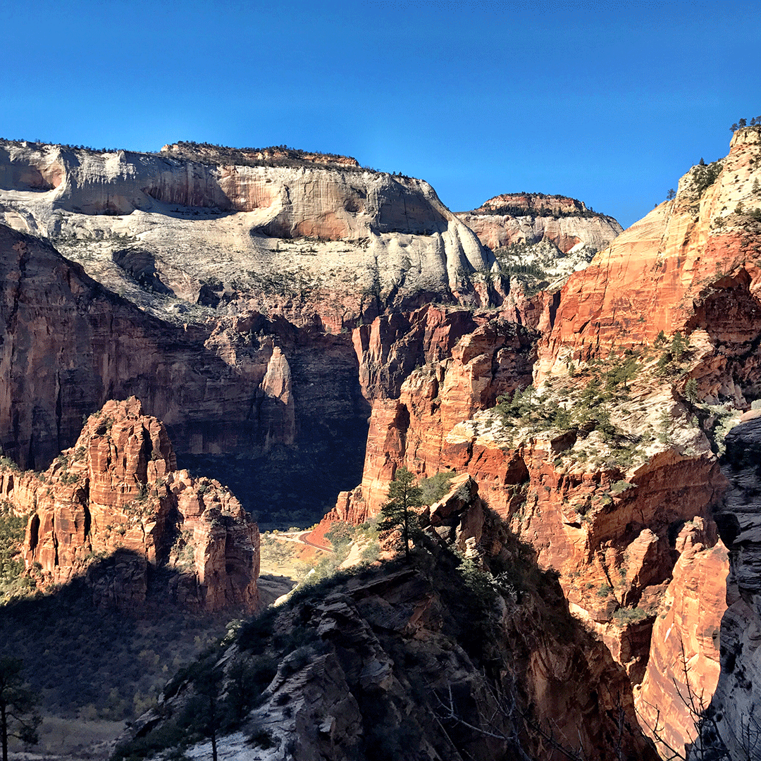 Zion_NP_Utah's tweet photo. Sunny and warm for the weekend! When are you coming to Zion next?

#zion #zionnps #observationpoint #weather #zionweather #weatherinzion #welcometozion #nps https://t.co/JvxyGsOxrN
