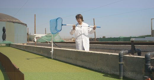 ainiatecnologia's tweet photo. El #proyectoLifeLemna presenta el primer prototipo semiindustrial de Europa basado en la tecnología de cultivo de #lentejadeagua (#Lemna) para la recuperación de nutrientes contenidos en los purines excedentarios de porcino.
https://t.co/cLUA9ZXJBq https://t.co/Hw0gH0g0cI