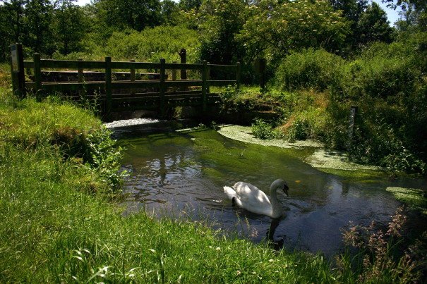 Visit North Norfolk tweet media