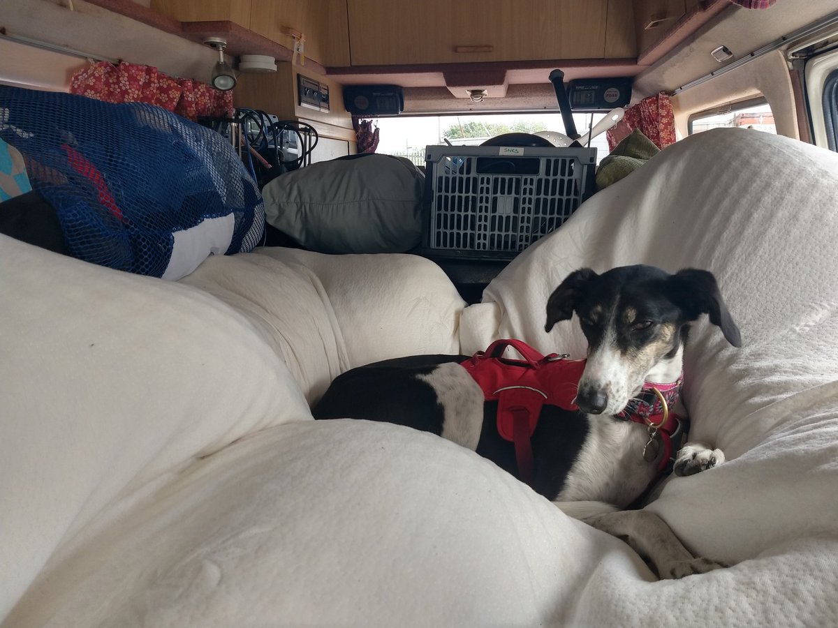 Rosie was super helpful with the move -_-