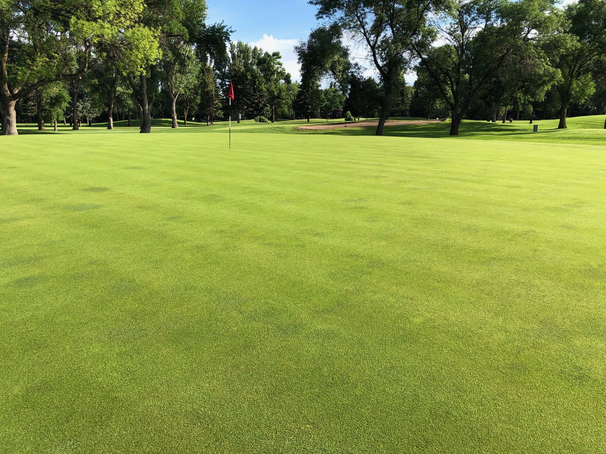 collinjcannon's tweet photo. The grounds crew has been working their tails off, the turf is holding thru mid-summer stress well, and our mechanic never gets enough appreciation for keeping our equipment in the best shape. https://t.co/cZeduRIqPw