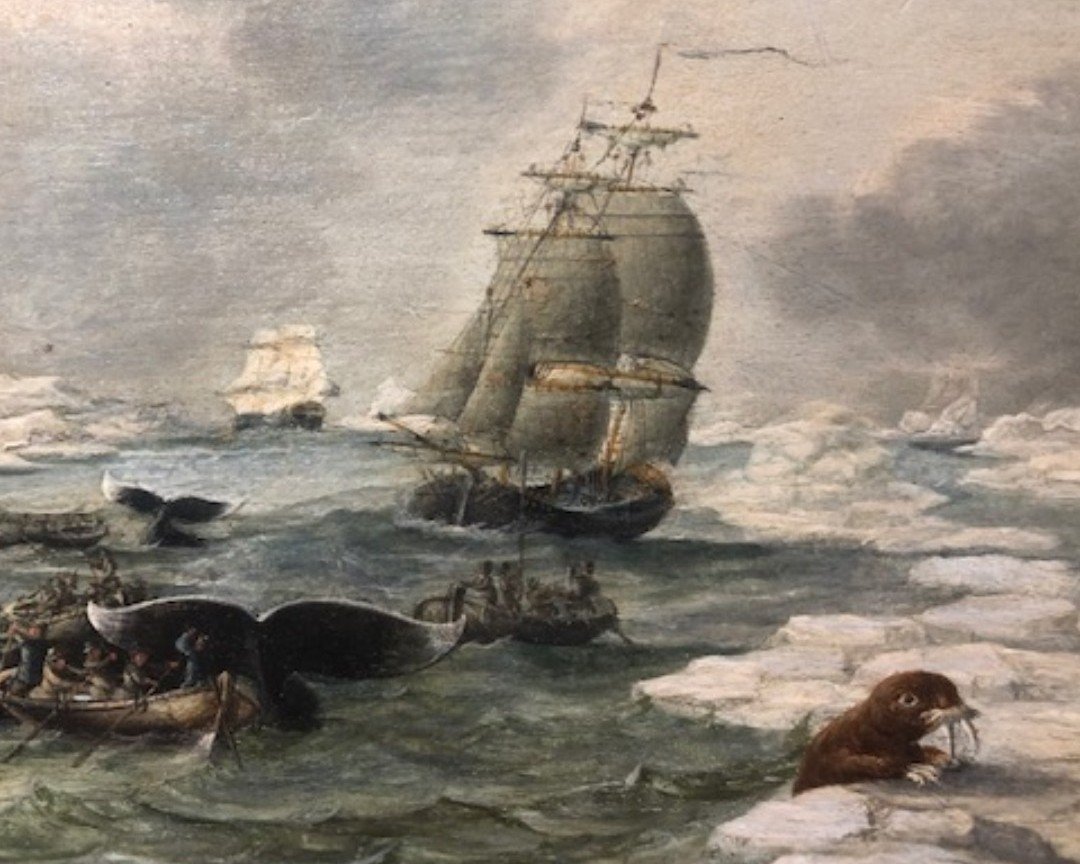 whalingmuseum's tweet photo. A glimpse of #wildlife through the eyes of #GoldenAge #DutchArtists. Come see more of these funky imagined animals yourself in the new exhibition #DeWindIsOp now open at the Museum. #painting #Dutch #animals #art #artist #funkyanimals #imagined #sea #maritime#whales #whalemen https://t.co/4DMwmgefsb