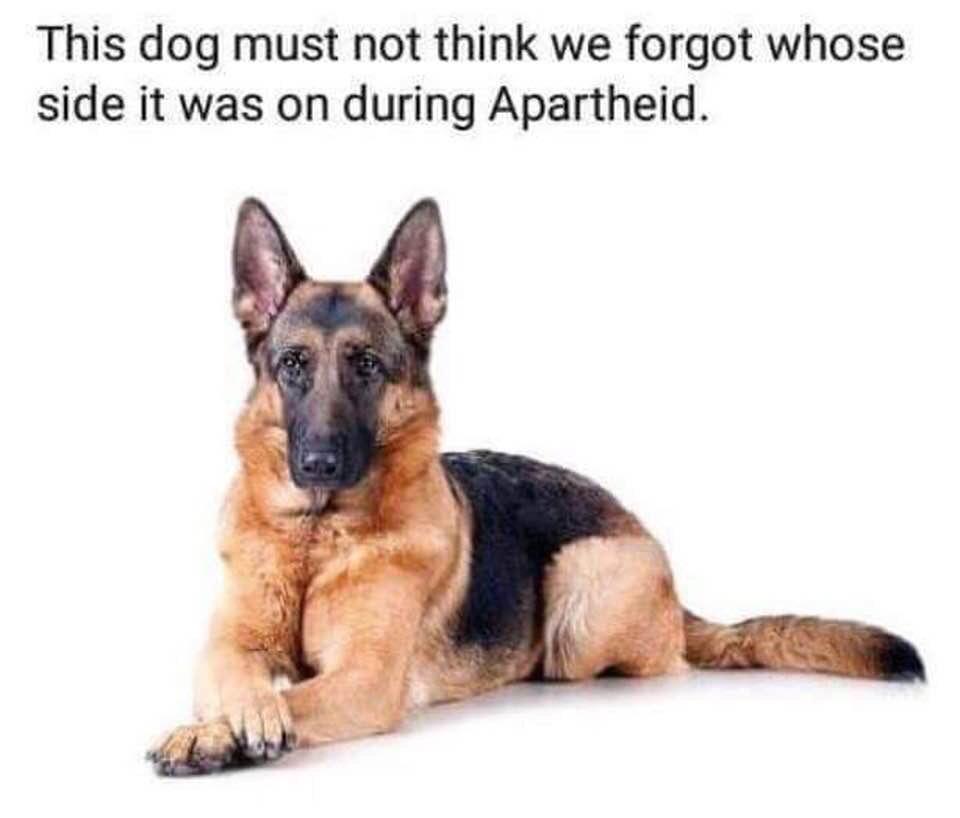 MbalulaFikile's tweet image. 