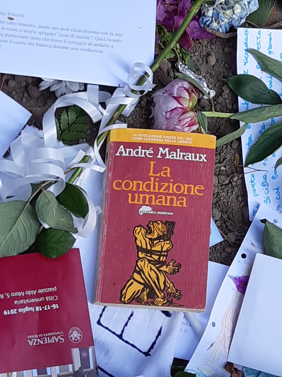 marino sinibaldi tweet media