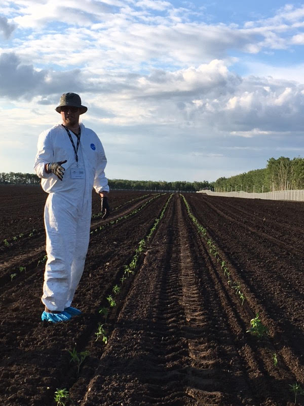 CanopyGrowth's tweet photo. Here at Canopy, we're all about growth! Our outdoor grow site in Northern Saskatchewan includes over 7,000,000 sq. ft. of cultivation field. That's a whole lot of green! 🌱 https://t.co/g2m3OM29gD
