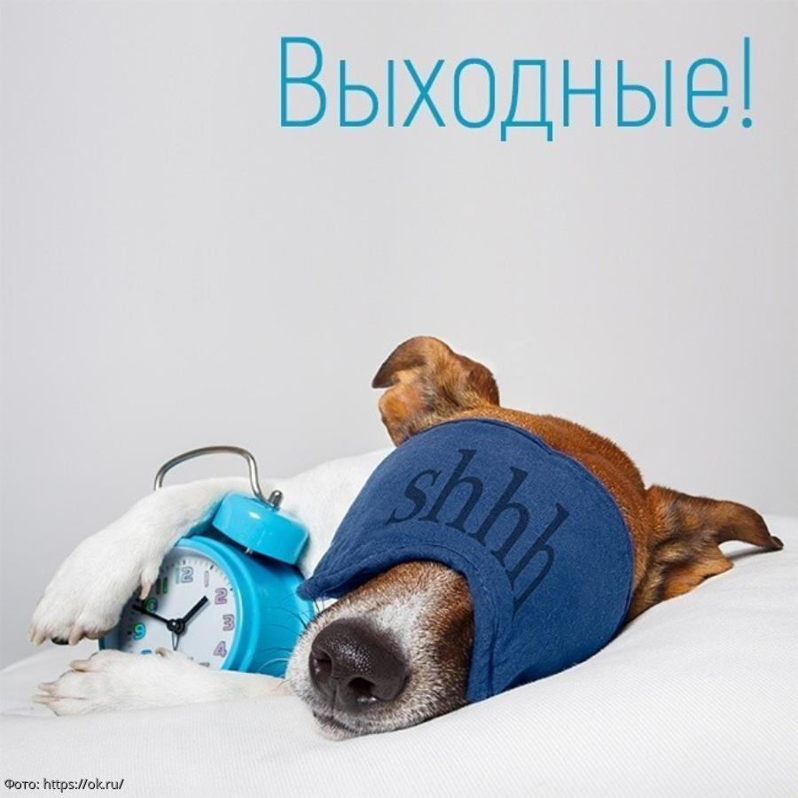 Выходной картинки прикольные новые, картинки про все