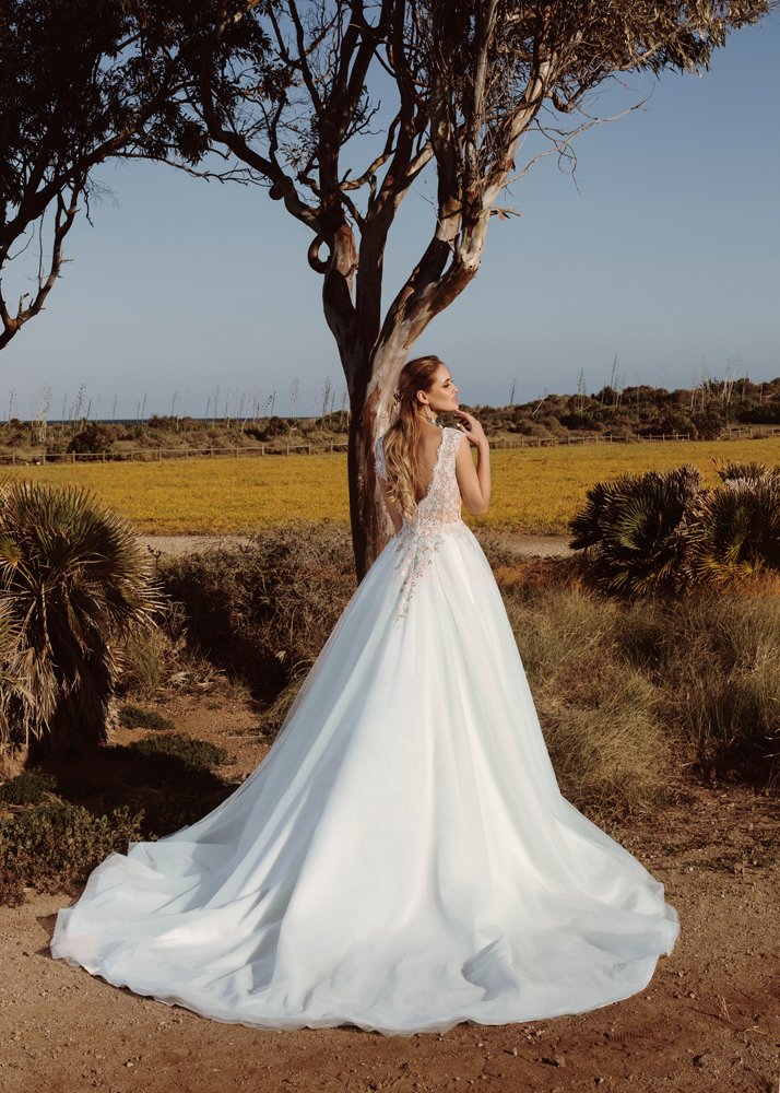 NOVIAS Select tweet media