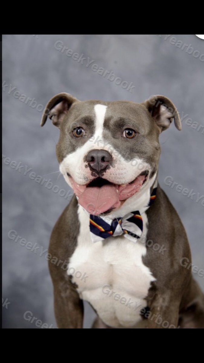 A true Sig Tau #ΣΤΓ