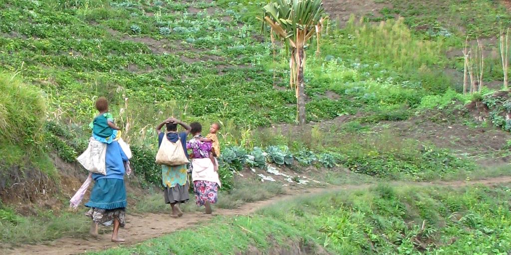 wycliffeuk's tweet image. The food Anita was growing was life for her family and the words she listened to from the Audibible were life for their souls.

Read about Anita's experience in the latest #PrayNow:
bit.ly/donttakemylife | #PapuaNewGuinea