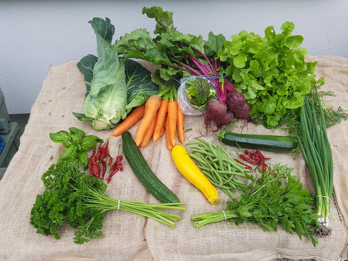 TipperaryTourism tweet media