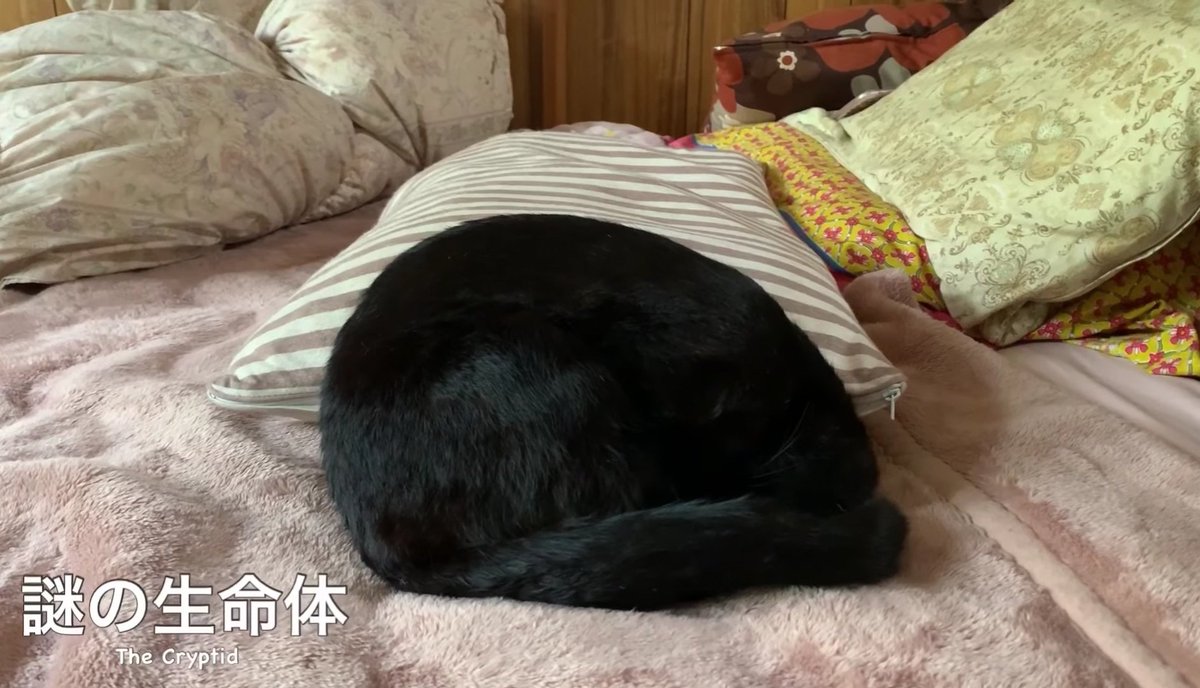 ももと天 ももと天