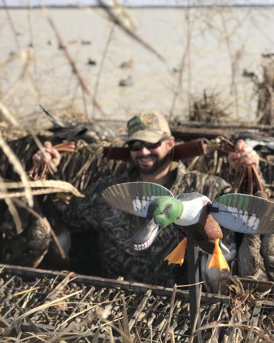 Mojo_Outdoors's tweet photo. MOJO SPOONZILLA is all grins... Make sure you pick up yours for this season!
.
📸 @huck.outdoors
#waterfowl #duckseason #duckhunting #mojooutdoors #spoonzilla https://t.co/tbvkgDiIO9