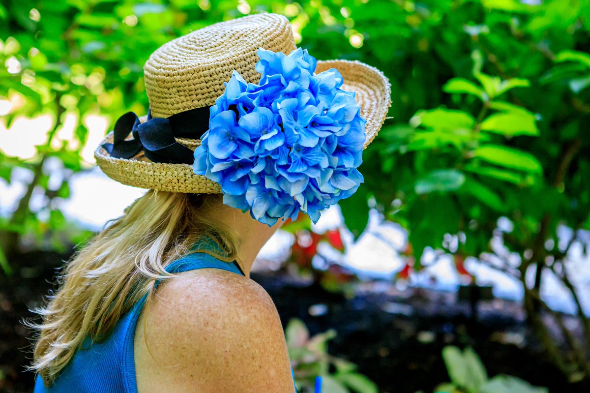 VisitCapeCod's tweet photo. Embracing the spirit of Hydrangea Fest on a @HeritageMuseums walking tour. #CapeCodHydrangeaFest continues through Sunday!
#summerblooms https://t.co/hlb4bMmdgb