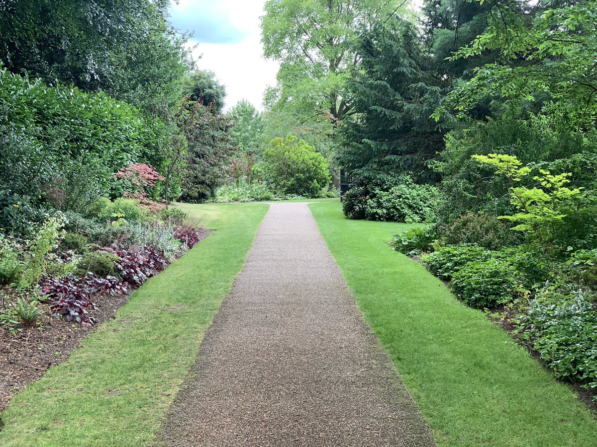theAliceRoberts's tweet photo. I took the opportunity to explore this extremely green corner of our very green campus this afternoon: Winterbourne Gardens @winterbournehg. One of the reasons to visit @unibirmingham this summer - along with our museums and galleries: @LapworthMuseum @BarberInstitute https://t.co/oCgjlO0wxU