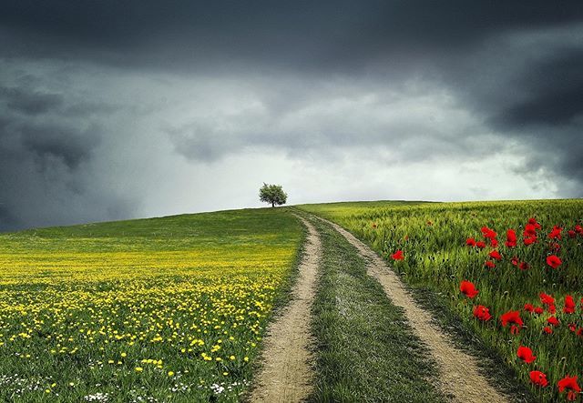 einfach__mal's tweet photo. den Regenschirm bereithalten...

#wandern #trekking #Nature #unterwegs #entdecken #sport #frühling #landschaft #berg #adventure #wanderlust #fernweh #abenteuer #Weltreise #vegan #beautiful #reisen #Urlaub #Strand #freizeit #leben #Meer #gipfel #draußen #sonne #panorama #entspa… https://t.co/nSStc9sq3K