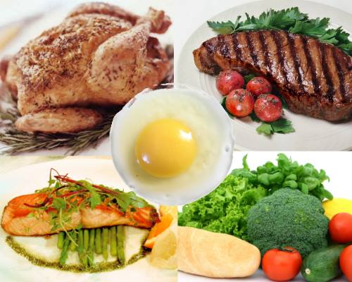 Vet_Summit's tweet photo. https://t.co/z66CK5Z1eg
More fat, less protein improves canine olfactory abilities #animal_evolution #veterinary_nutrition #animal_proteins #poultry #livestock_production #veterinary #meat #animal_science #animal_food #veterinary_resources #animal_lovers @MilkMeansMore https://t.co/SkGJP1hDMg