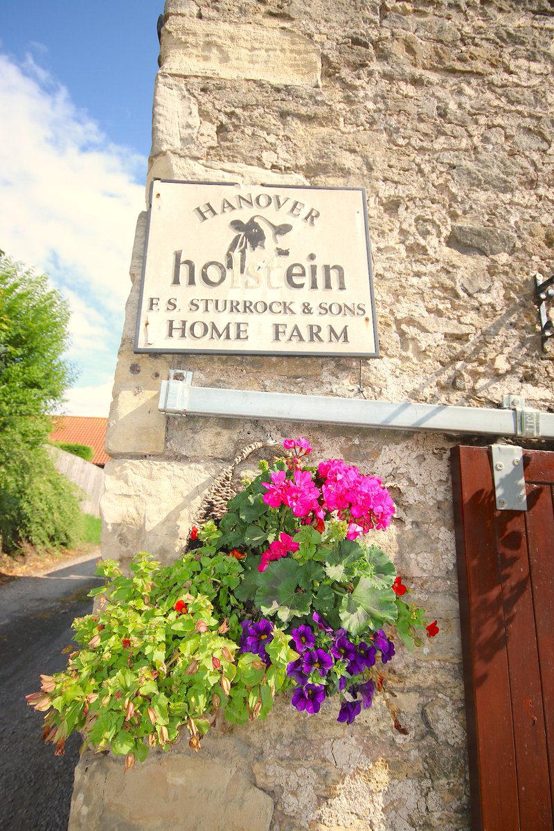 MyFaveBench's tweet image. Benches, Bulls and Boozers. Elwick Village
nothing better than walking around your local village and just snapping away. #Elwick @Drydenfarms #Hartlepool #BenchFans @spottedcowelwic