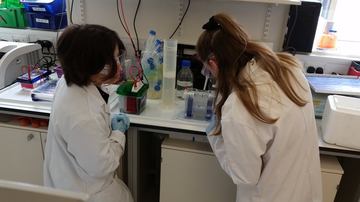 SotonCORE's tweet photo. 2nd day SoBS #PhD/Work #shadowing
In the words of one of the visiting 6th formers this experience offered 'An amazing insight to higher education lab-based research' &amp; 'invaluable access to knowledgeable and friendly students'
@sotonbiosci @UoSDocCollege @sotonbsps @UoS_Schools https://t.co/92aErrhhkB