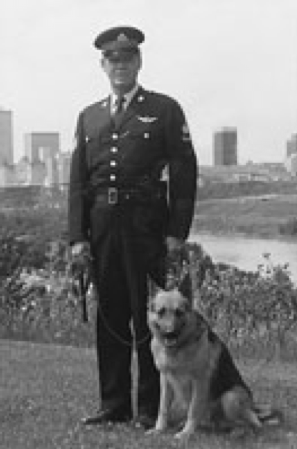 edmontonpolice's tweet photo. Today we focus the #ThrowbackThursday spotlight on the dogs and handlers of our Canine Unit. Formed in 1967, the unit consisted of three teams. Today, the unit is now more than 10 teams strong! Thank you to Maynard "Val" Vallevand for getting this unit off the ground. @EPSCanine https://t.co/sKA7OIeOty