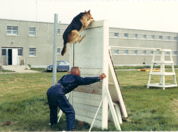 edmontonpolice's tweet photo. Today we focus the #ThrowbackThursday spotlight on the dogs and handlers of our Canine Unit. Formed in 1967, the unit consisted of three teams. Today, the unit is now more than 10 teams strong! Thank you to Maynard "Val" Vallevand for getting this unit off the ground. @EPSCanine https://t.co/sKA7OIeOty