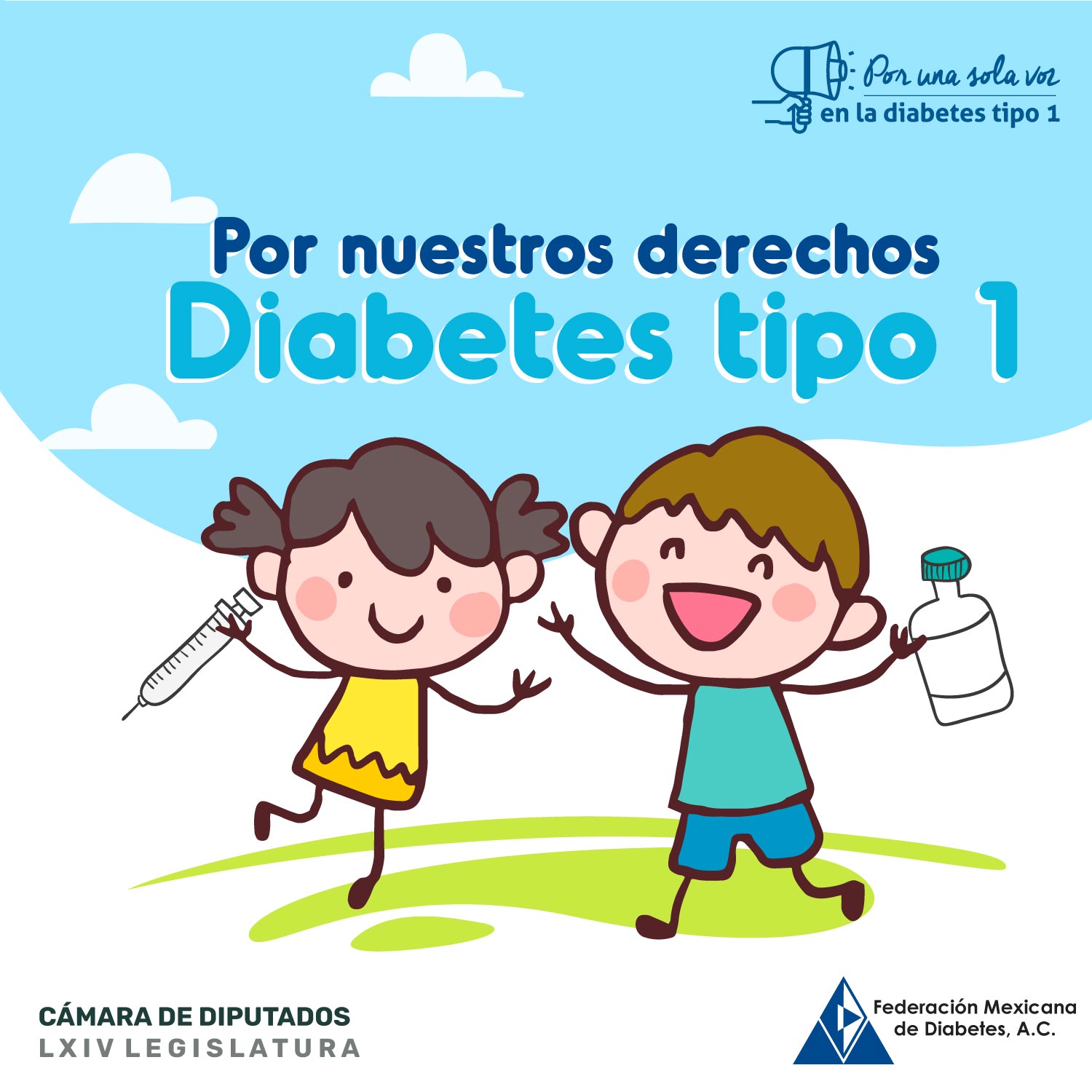 Federación Mexicana de Diabetes, A. C. on Twitter: 