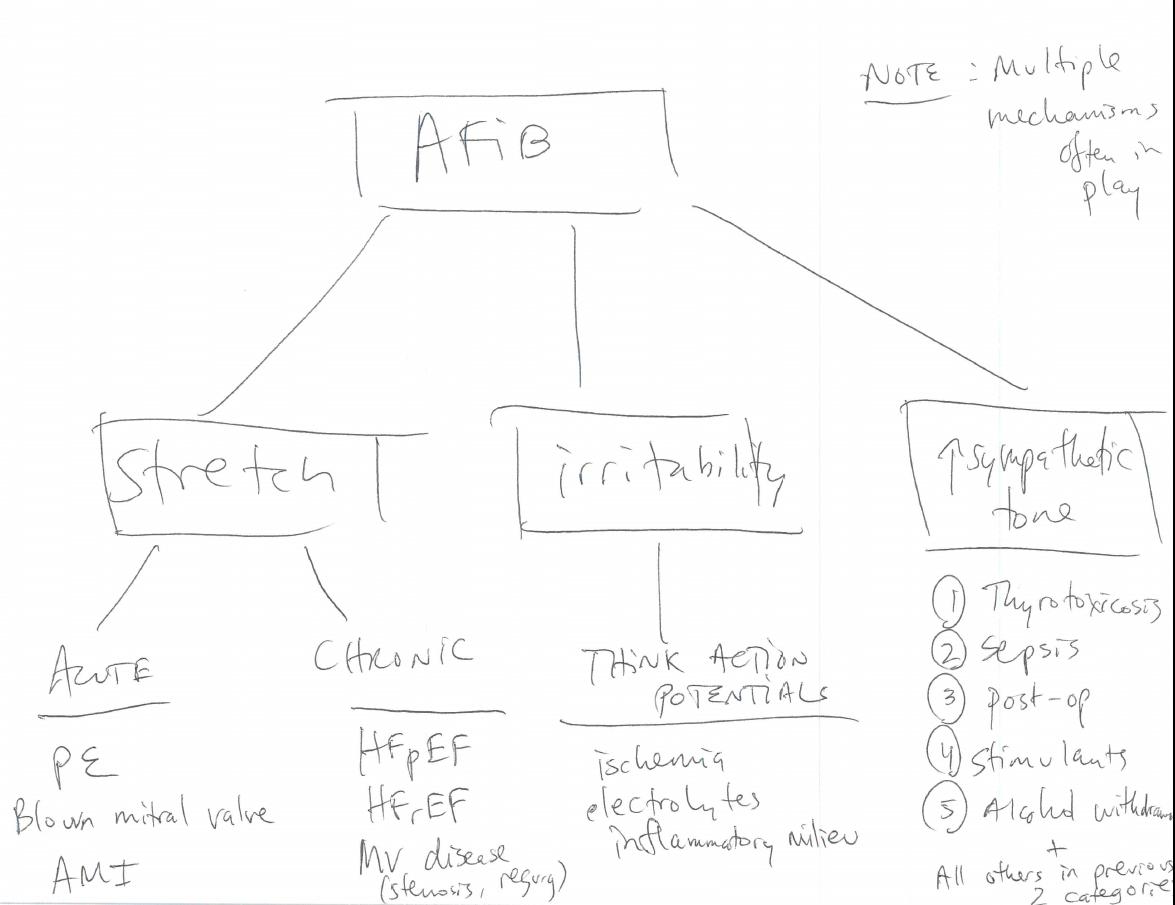 PaulBerglMD's tweet photo. I've officially cracked.
When #medstudents starting talking about mnemonics, I fire off on a virtual rant & do things like angrily scribble out diagnostic schema
Schema >>>> mnemonics for durable learning of Dx reasoning
#improvingDx https://t.co/C223NPkl9G