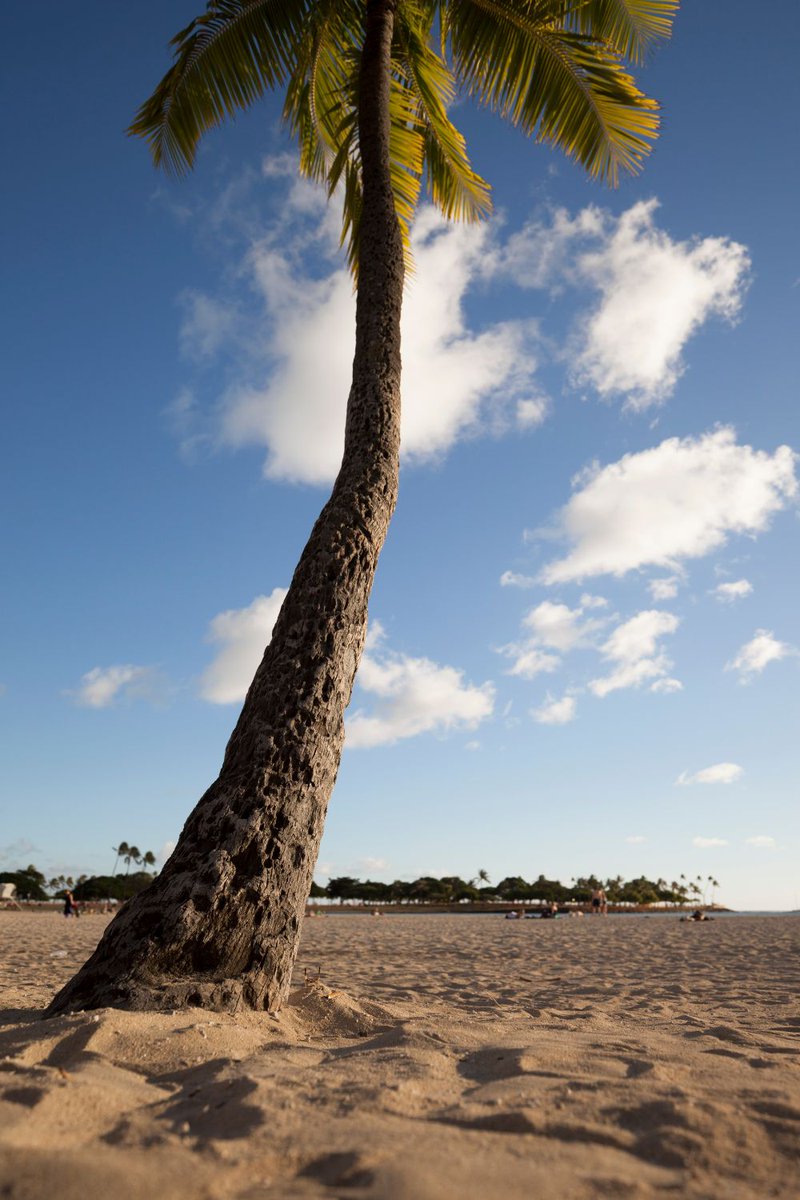 slinkachu tweet media